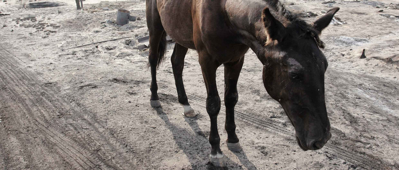 «Страхование и климатические риски в России до сих пор не встретились»